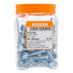H1C100 - Coach Screw